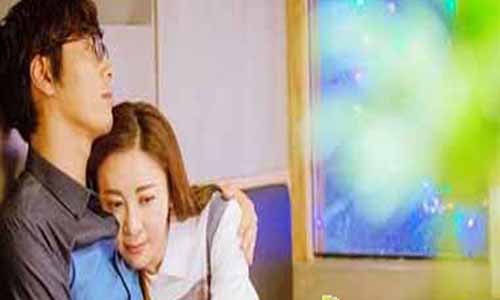 电视剧《花火》分集介绍第27集剧情