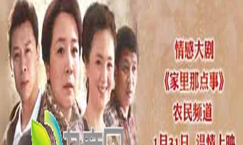 《家里那点事》分集剧情简介1-33全集大结局