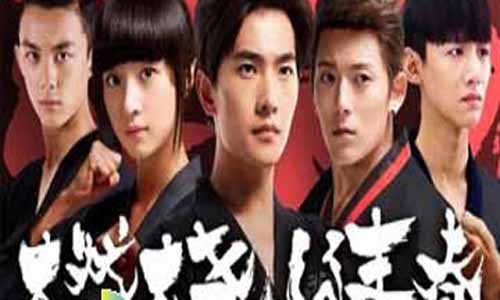 燃烧的青春剧情介绍,燃烧的青春分集介绍,燃烧的青春演员表,电视剧燃烧的青春大结局