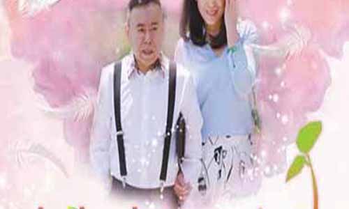 《大年初一立春/全国热恋》分集剧情简介1-36全集