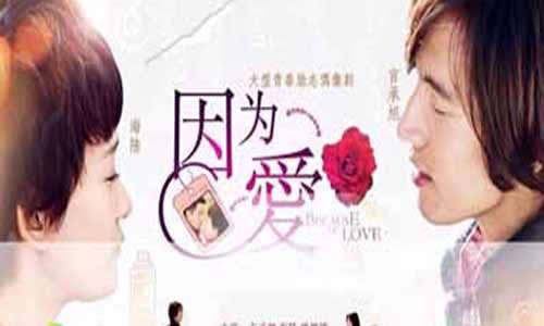 因为爱分集介绍,因为爱分集剧情介绍1-32全集大结局