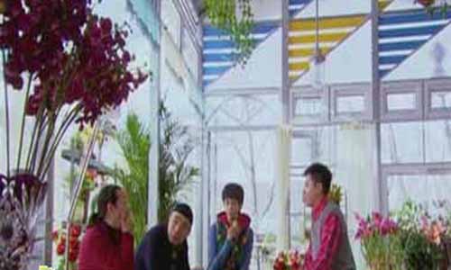 因为爱剧情介绍第09集剧情