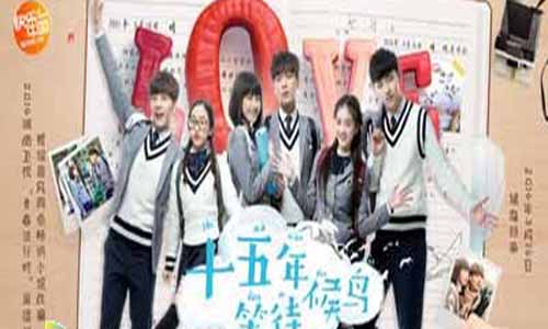 十五年等 候候鸟分集剧情,候鸟的许 诺剧情简介1-20全集大结局