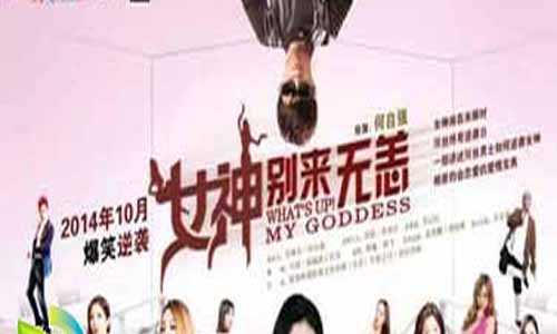 《女神别来无恙》剧情简介1-5全集大结局