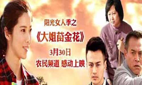 大姐苗金花剧情简介,我叫苗金花分集剧情1-45全集大结局