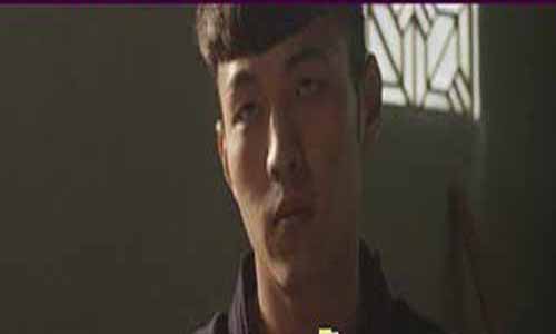 柳炎风演员杨业明