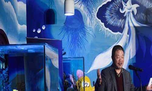 深潜分集介绍,深潜节目介绍1-3全集大结局