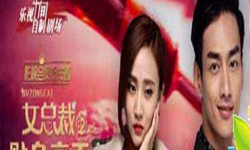 女总裁的贴身高手分集剧情,爱上女总裁分集介绍1-80全集结局