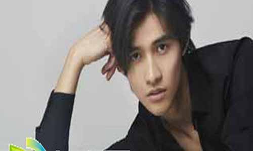 李子峰饰演杨宽