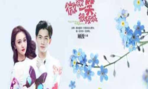 《微微一笑很倾城/微微》分集剧情介绍第1-30全集