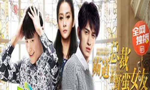 霸道总裁的蛮 横女友分集剧情简介1-12全集大结局及演员表