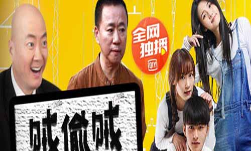 《贼偷贼》分集剧情介绍1-15全集大结局及演员材 料介绍