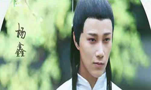 林主演员杨鑫