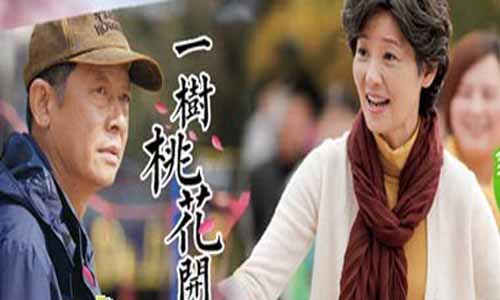 电视剧《一树桃花开》分集剧情介绍（1-42全集）大结局