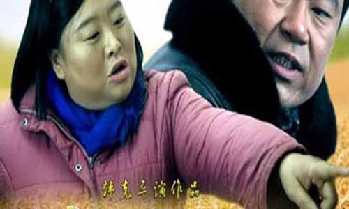 二妮的山村梦分集剧情介绍1-17全集大结局及演员表