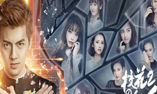 《校花的贴身高手第二季/旋风保镖2》分集剧情介绍第1-12全集大结局