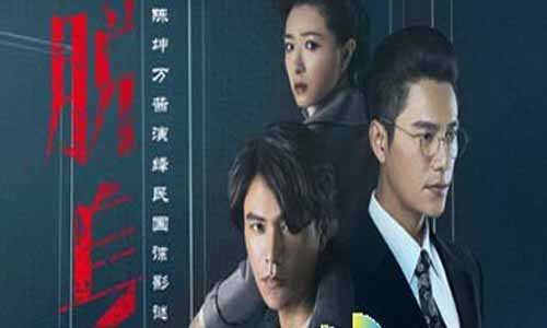 电视剧《脱身/替身/脱身者》分集剧情介绍第1-47全集脱身大结局