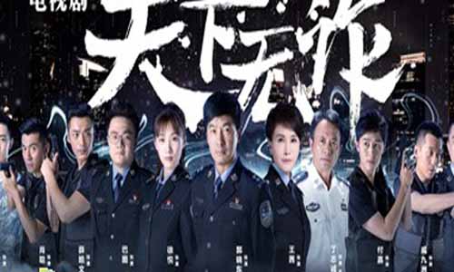 电视剧《天下无诈》分集剧情介绍（第1-40全集）大结局