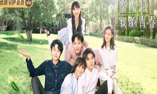 网剧《等等啊我的青春》分集剧情介绍1-24全集大结局