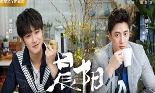 电视剧《晨阳》分集剧情介绍（第1-24全集）晨阳大结局