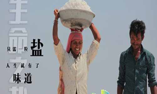 性 命之盐/你所不知道的那些盐分集剧情简介1-6全集结局