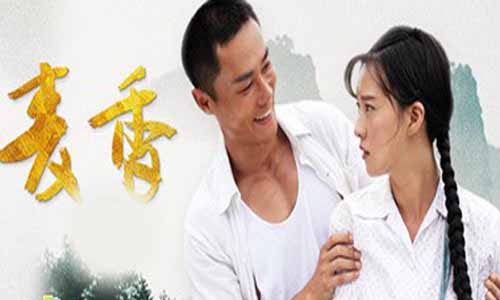 电视剧麦香/丽水之恋分集剧情介绍第1-36全集大结局