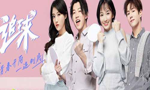 电视剧《追球》分集剧情介绍1-36全集追球大结局