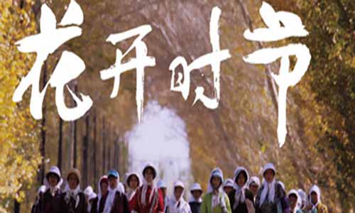 花开时节/摘棉花的女人分集剧情简介1-30全集结局及播放时 光