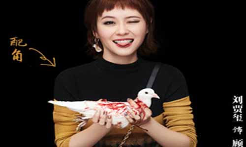 刘贾玺饰演顾禾绮