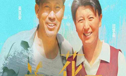 电视剧兰桐花开/兰桐树分集剧情介绍1-42全集结局及播放时 光