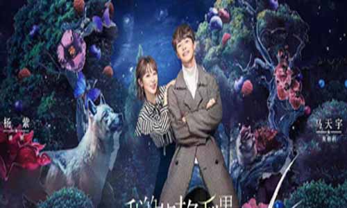 我的莫格利男孩分集剧情简介1-50全集结局及什么时候播出时 光