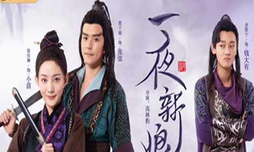 电视剧一夜新娘/一夜新娘之花溶传/花溶传分集剧情介绍第1-24全集大结局