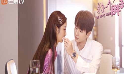 电视剧身为一个胖子分集剧情介绍第1-24全集身为一个胖子大结局