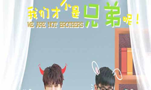 网剧我们才不是兄弟呢分集剧情介绍1-24全集结局/播出时 光/演员表