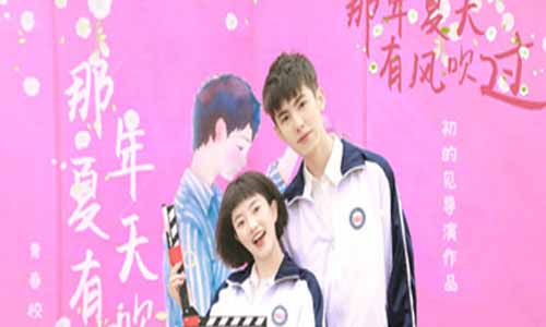 那年夏天有风吹过 火集剧情介绍第1-27全集大结局,那年夏天有风吹过什么时候播出