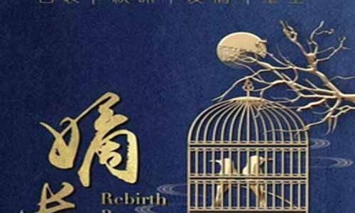 网剧嫡长女剧情介绍第1-全集结局,嫡长女什么时候播出,演员表,剧照图片