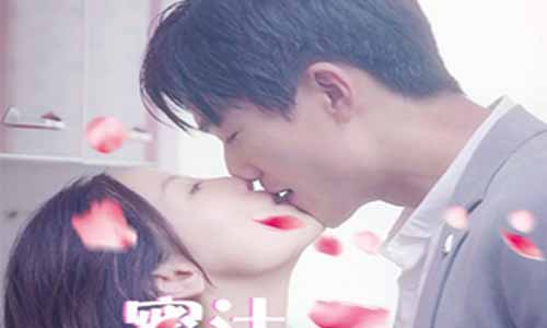 蜜汁同居分集剧情介绍第1-16全集结局,蜜汁同居什么时候播出,演员表