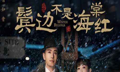 鬓边不是海棠红/霸王别姬分集剧情介绍第1-49全集结局,鬓边不是海棠红什么时候播