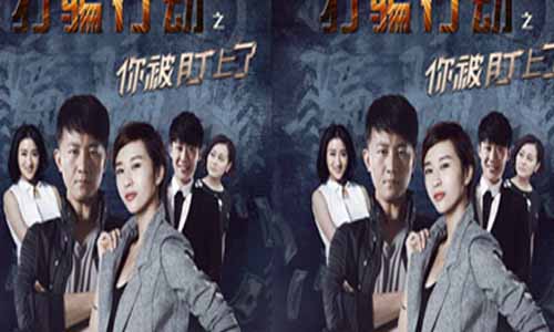 电视剧打骗举 动之你被盯上了/闪电举 动分集剧情介绍第1-28全集大结局,什么时候播出