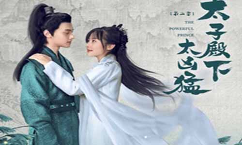 网剧太子殿下太凶 悍第二季剧情介绍1-18全集,太子殿下太凶 悍2什么时候播出,演员表