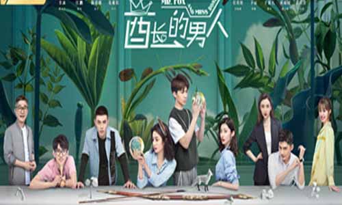 电视剧酋长的男人分集剧情介绍第1-30全集,酋长的男人什么时候播放时 光