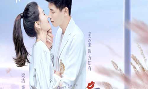 电视剧不说谎恋人分集剧情介绍第1-31全集结局,不说谎恋人什么时候播放日期